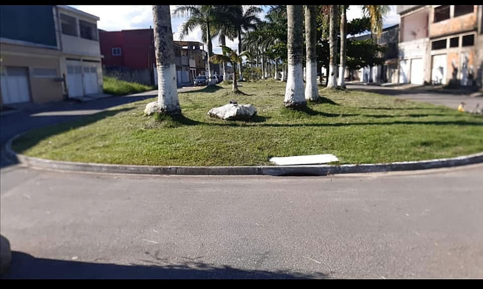 Zeladoria em áreas Verdes — Victoria Park Avenida B.