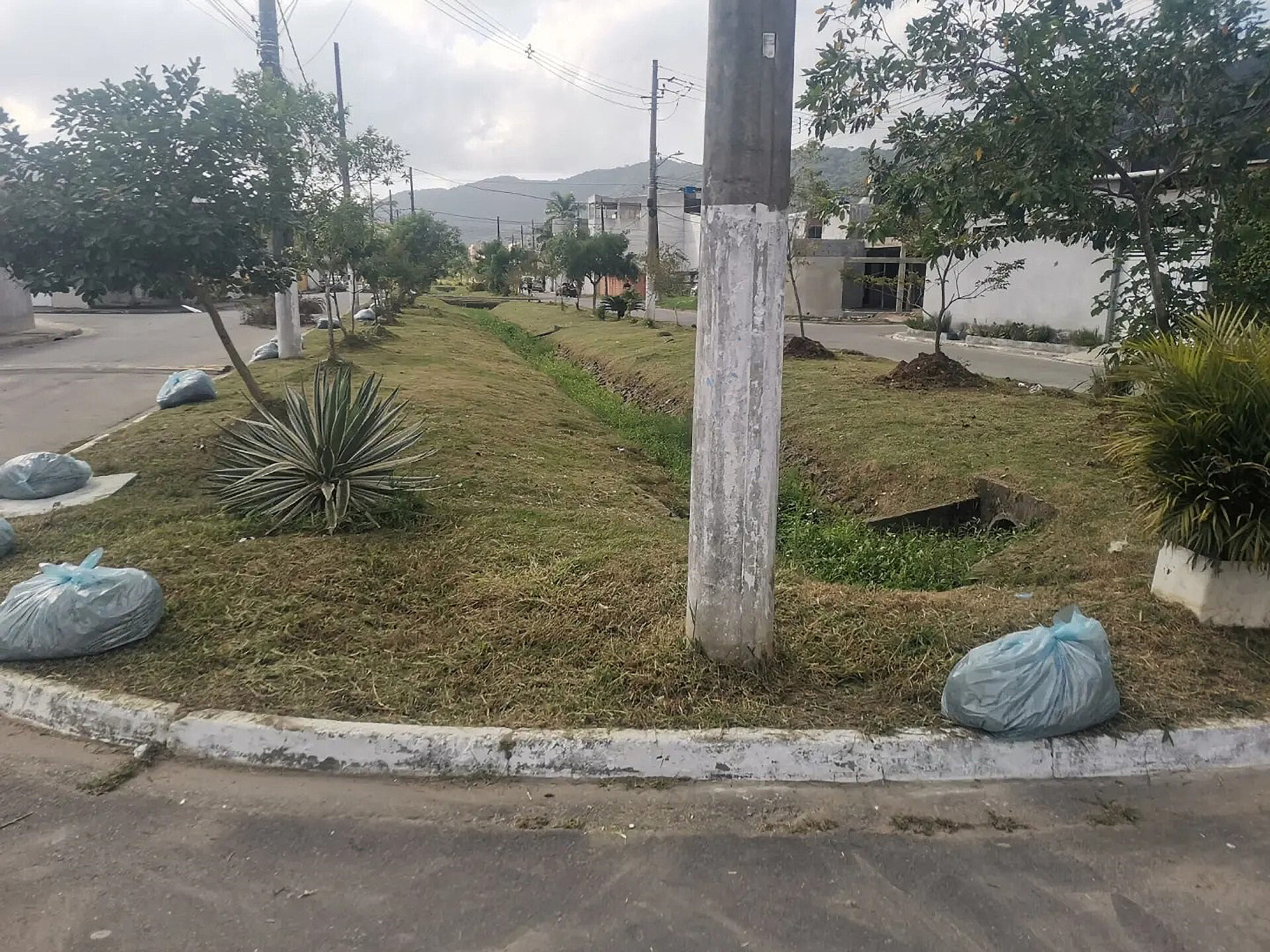 Área verde do Victoria Park roçada, com sacos de resíduos reunidos ao longo da calçada.