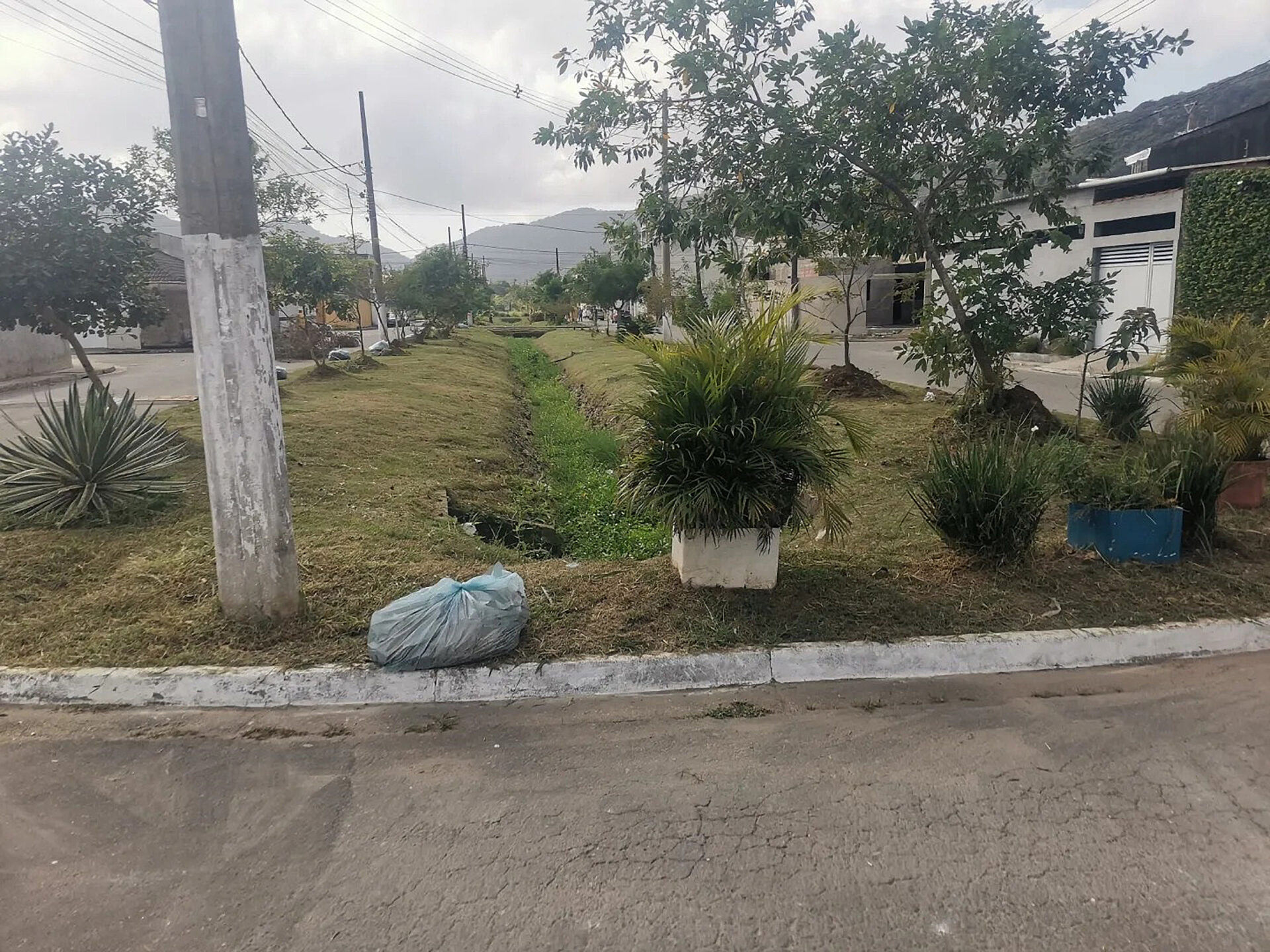 Canteiro central do Victoria Park após roçada, com sacos de resíduos e vegetação podada.